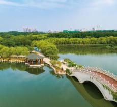 天津塘沽森林公园