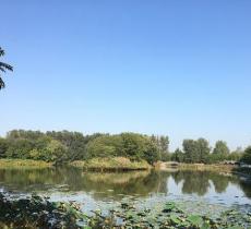 汉石桥湿地自然保护区