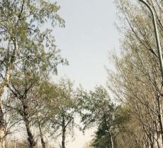 潞城中心公园