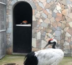汴京公园动物园