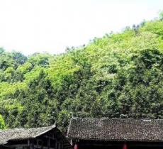 梅山文化生态园