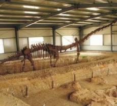 灵武恐龙地质博物馆