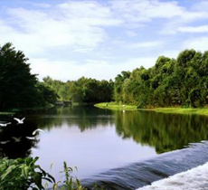 金马河湿地公园